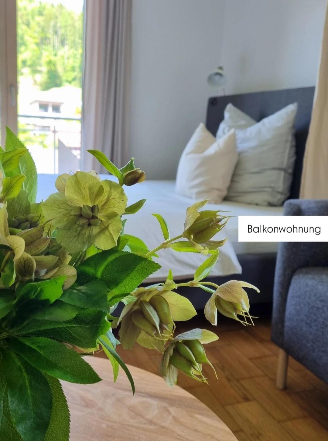 Ferienwohnung Tostner Burgblick 费尔德基希 外观 照片
